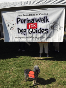 purina walk sign