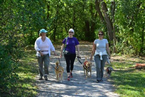 12074702_1037605959612591_2969940853149345797_n